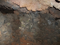 Grotta Gussonea